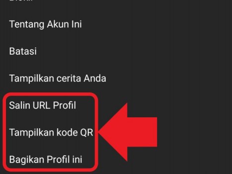 Cara Membagikan Akun Lain Instagram Untuk Ajang Promosi