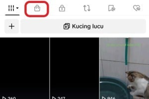 Cara Menautkan Akun Ke Tiktok Shop Untuk Mulai Promosi Dan Jualan