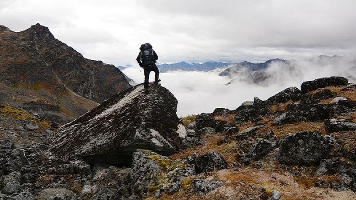 5 Aplikasi Mendaki Gunung Yang Bisa Membantu Agar Kamu Lebih Siap | Gadgetren