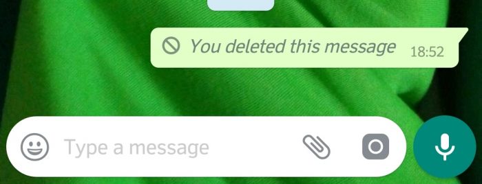 Pesan WhatsApp yang Berhasil Dihapus