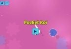 Pocket Koi Feature