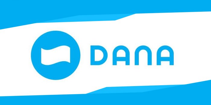 DANA Logo Feature