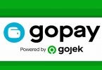 GoPay Feature