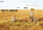 HUAWEI Next Image 2020-Taken by Huawei P30 Pro