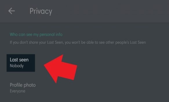 Cara Agar WhatsApp Tidak Terlihat Online Oleh Kontak Lain