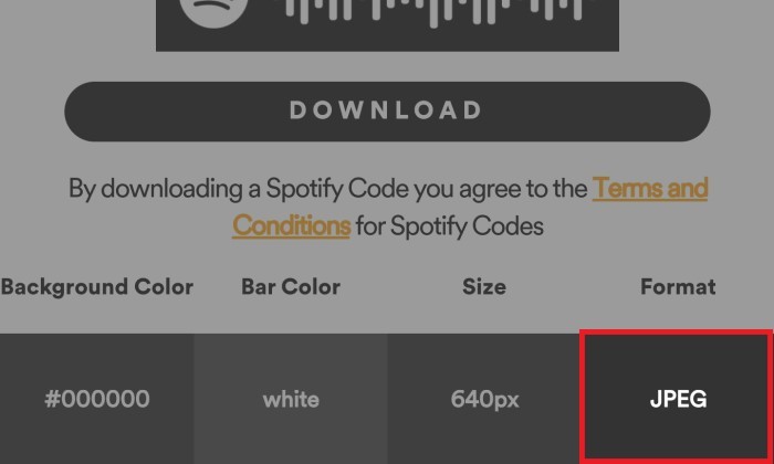 Spotify Barcode Format