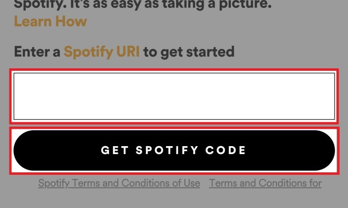 how to copy spotify code