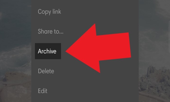 How to view archived photos on Instagram 13