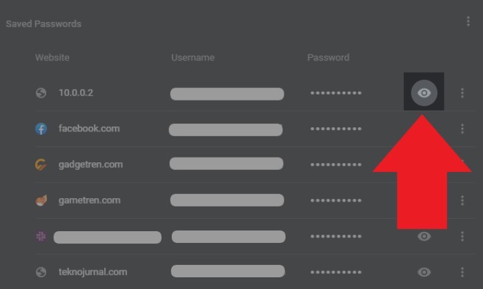 Cara Melihat Password yang Tersimpan di Google Chrome 9