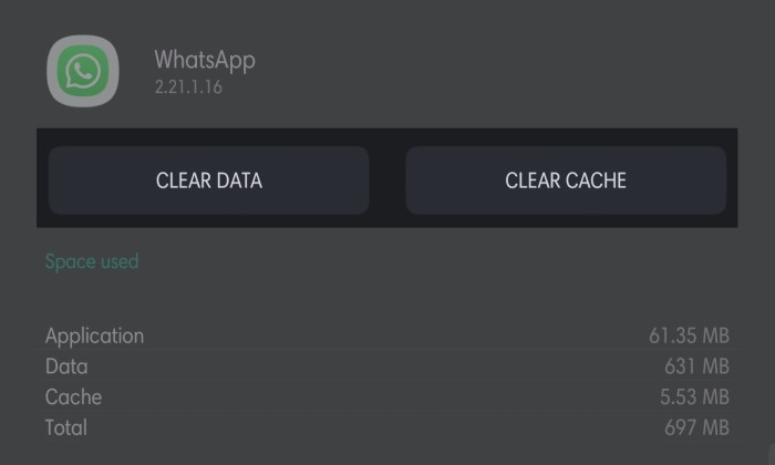 Kenapa Kamera Depan WhatsApp Tidak Fullscreen 4