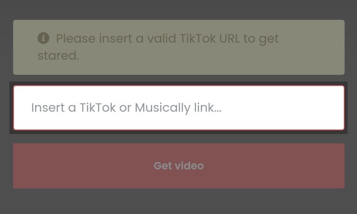 Cara Download TikTok Tanpa Watermark Tanpa Aplikasi 3