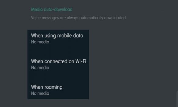 Kenapa Penyimpanan WhatsApp Buat Memori Hampir Penuh? Ini