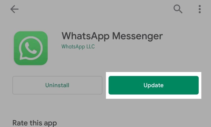 Kenapa WhatsApp Tidak Bisa Download Foto - 5