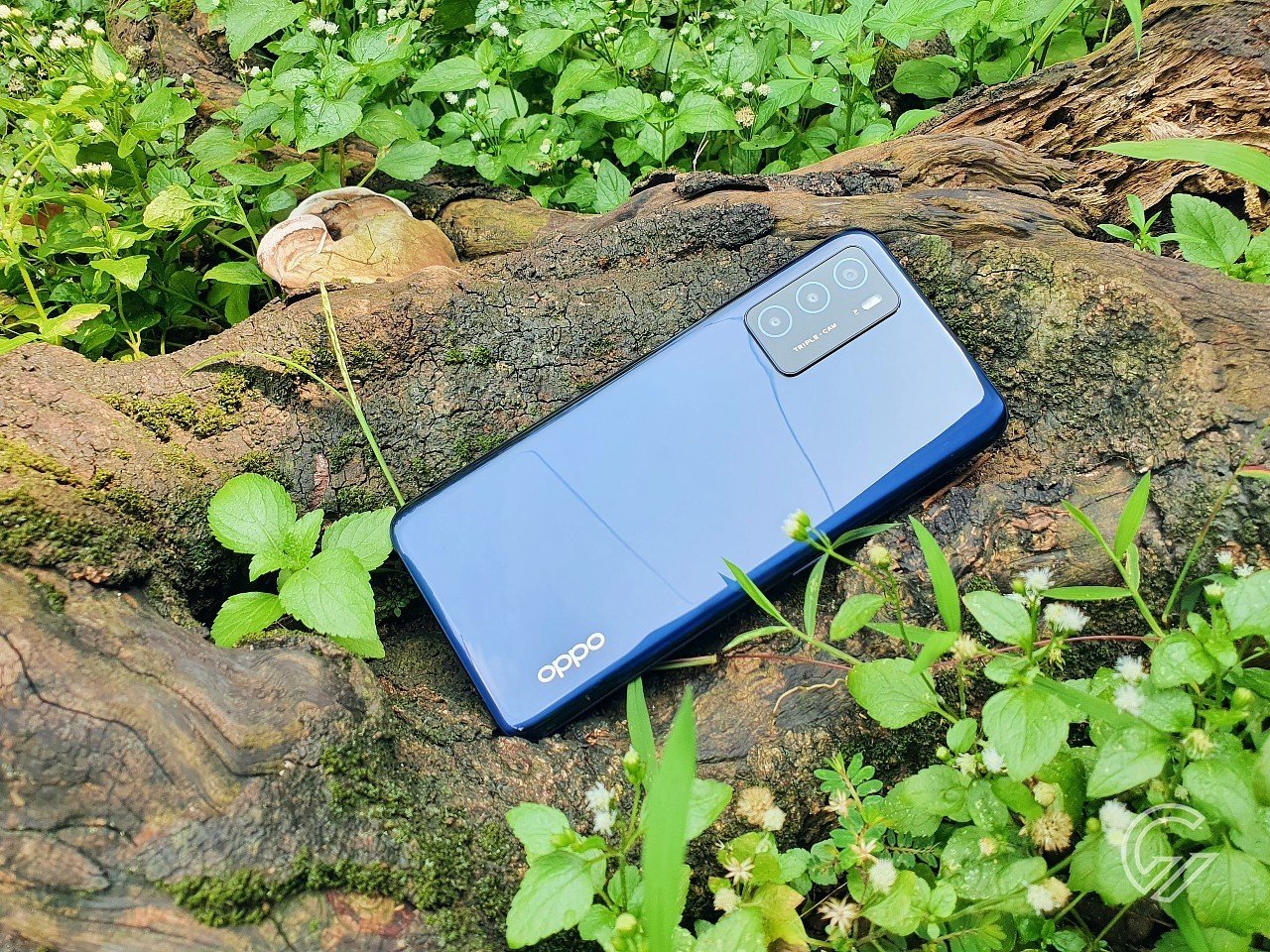 OPPO A16 Vs OPPO A15 Yuk Cari Tahu Perbedaannya!