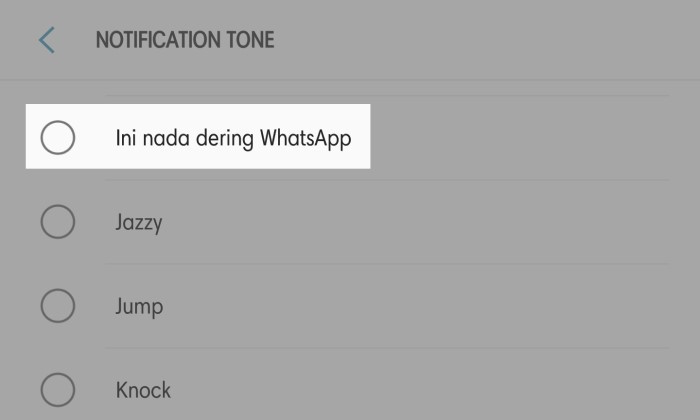Cara Menggunakan Sound of Text WhatsApp - 6