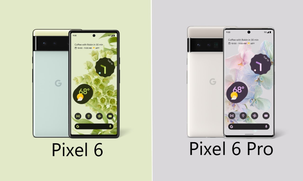 Google Pixel 6 Vs Google Pixel 6 Pro – Punya Perbedaan Cukup Signifikan? |  Gadgetren