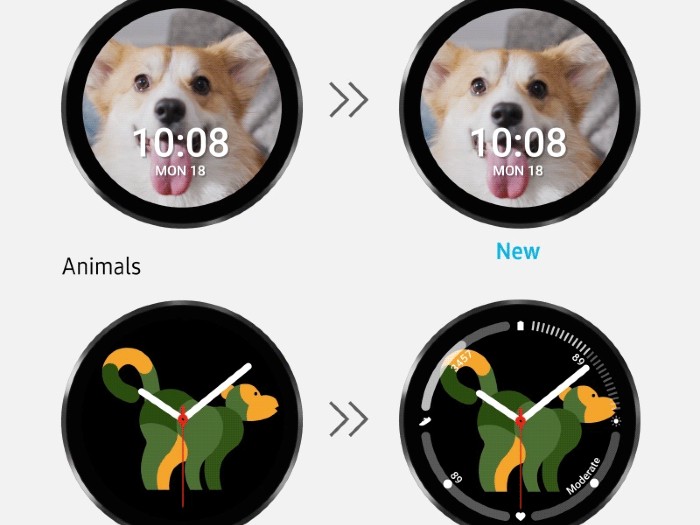 Samsung-Galaxy-Watch4-Animals.