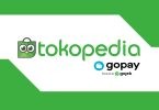 Tokopedia GoPay Logo