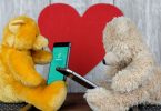 WhatsApp Bear