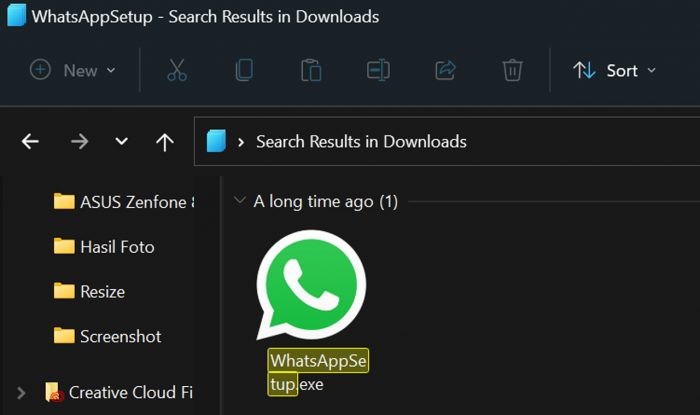 WhatsApp Desktop Install