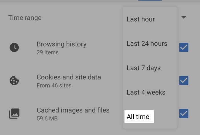 How to delete Google history - 18