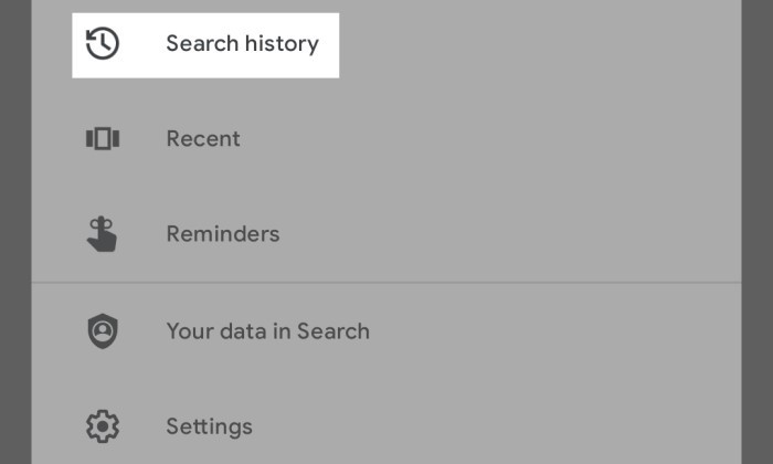 How to delete Google history - 2