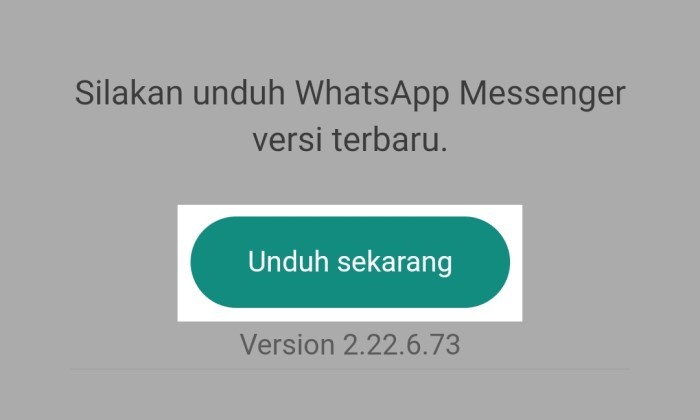 Cara Memperbarui WhatsApp yang Kadaluarsa - 7