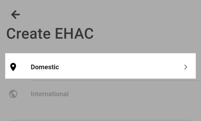 Apa Itu e-HAC Untuk Mudik Dan Cara Isinya - 3