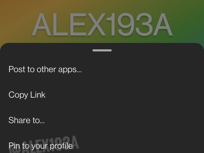 Pin-to-your-profile