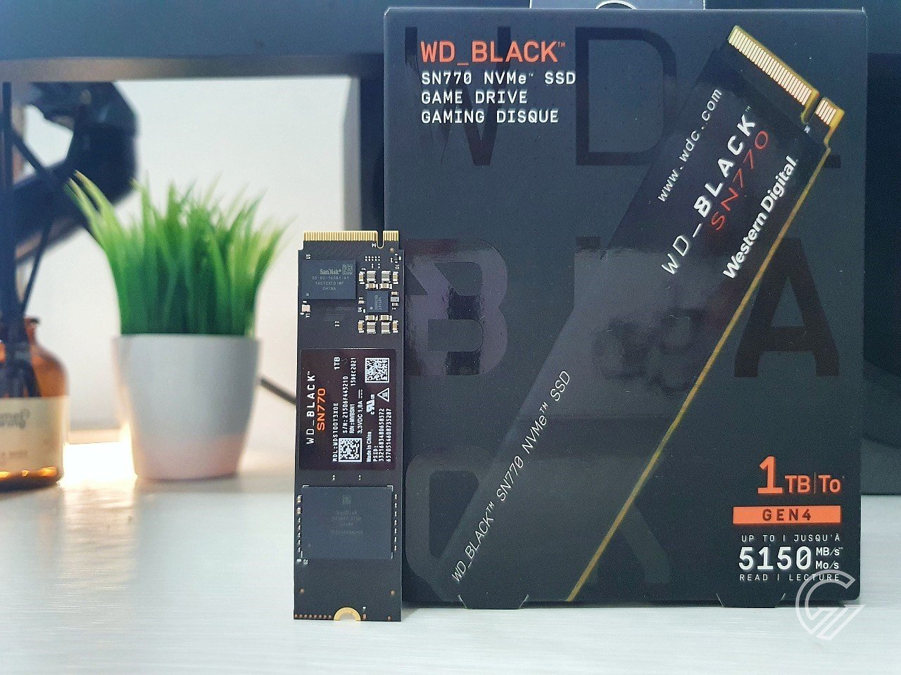 Tinjau Header SSD WD_BLACK SN770 NVMe