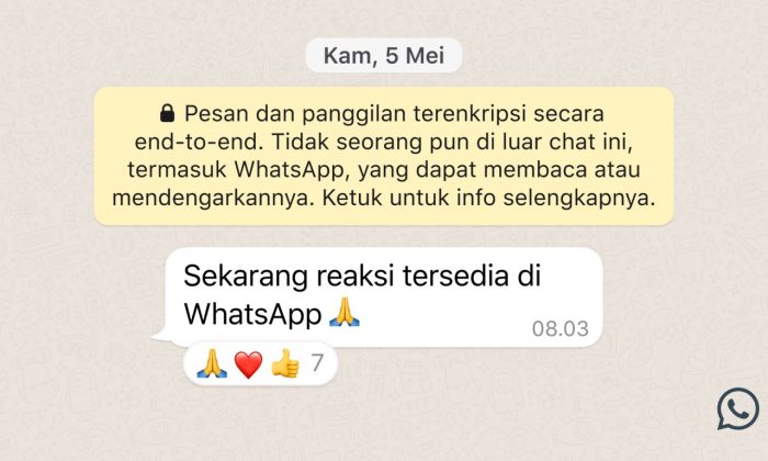 Cara Menggunakan WhatsApp Reaction - 1