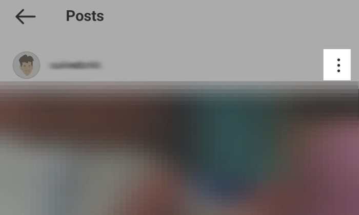 Cara Pin Post Instagram dengan Grid Pinning - 1