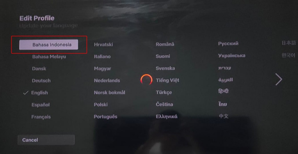 Cara Mengganti Bahasa Pada Netflix Agar Sesuai dengan yang Diinginkan