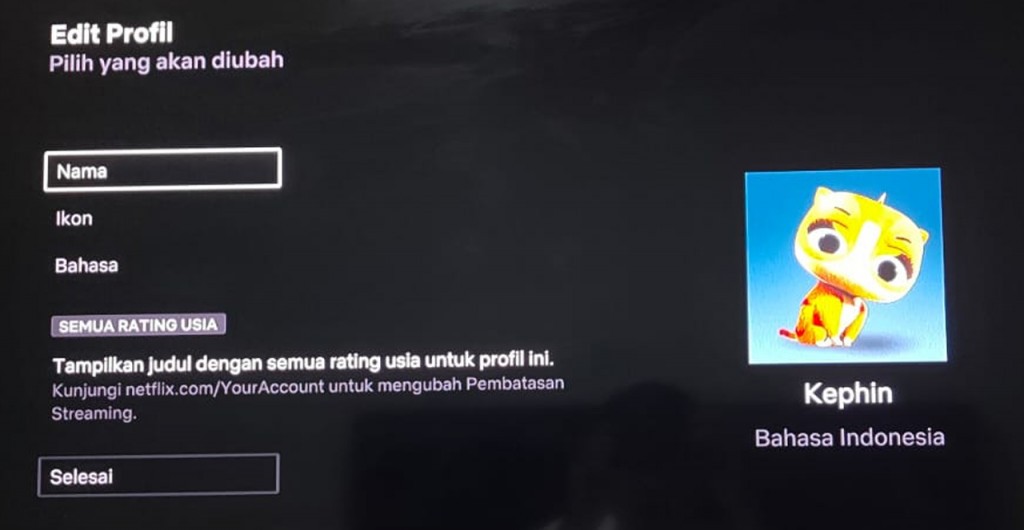 Cara Mengganti Bahasa Pada Netflix Agar Sesuai dengan yang Diinginkan