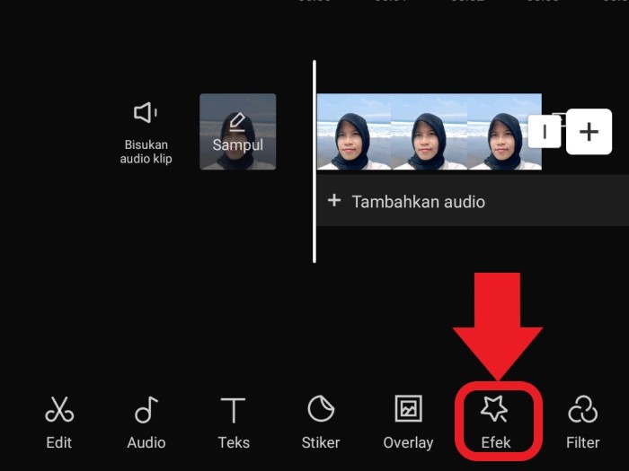 Cara Blur Wajah Di Foto Dan Video Capcut Agar Jadi Ada Efek Buram