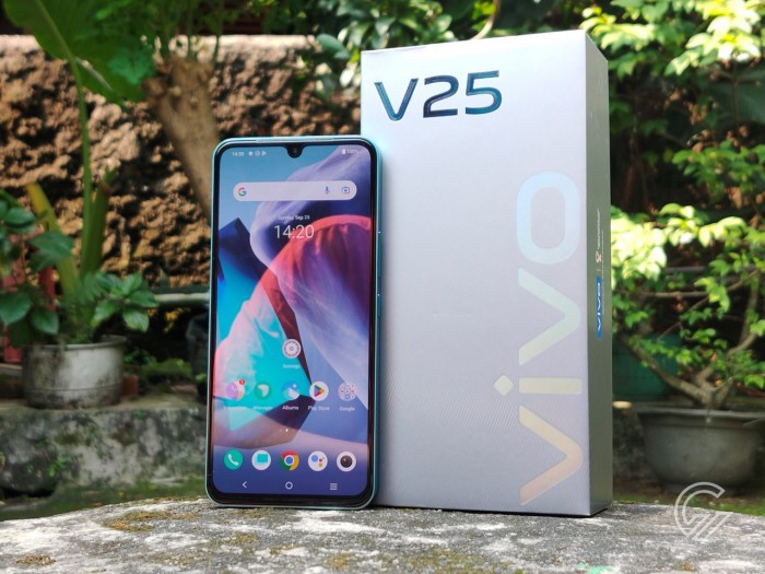 vivo-V25-5G-Display-Box