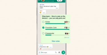 Cara Membuat Polling WhatsApp - Header