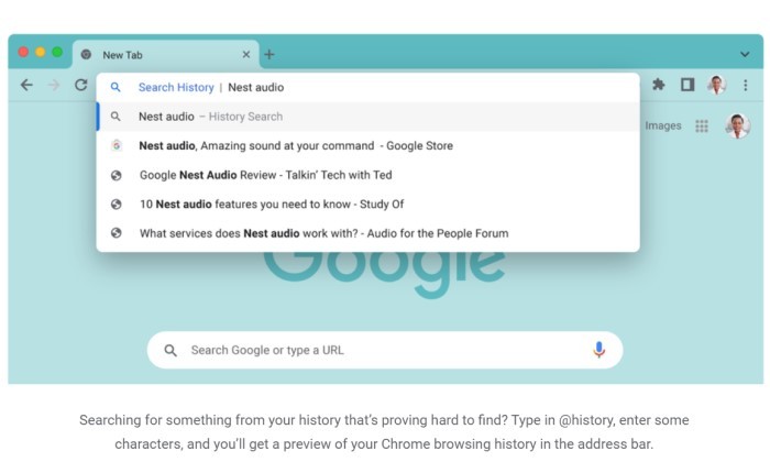 Google-Search-history.