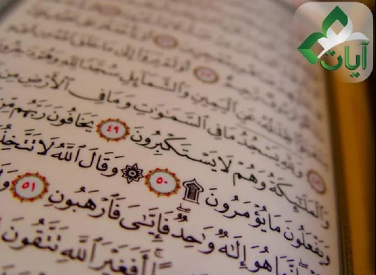 Aplikasi Al-Quran Terbaik Header