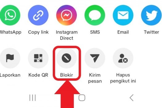 Cara Blokir Akun TikTok Supaya Tidak Terlihat Lagi