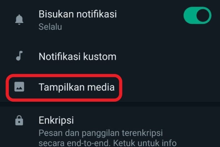  Tampilkan-media