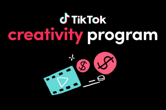 TikTok-Creativity-Program.