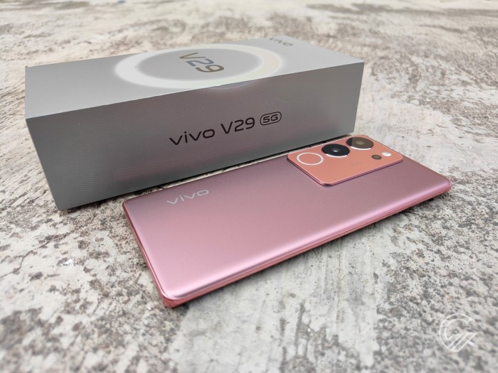 vivo V29 5G - with Box variant 2