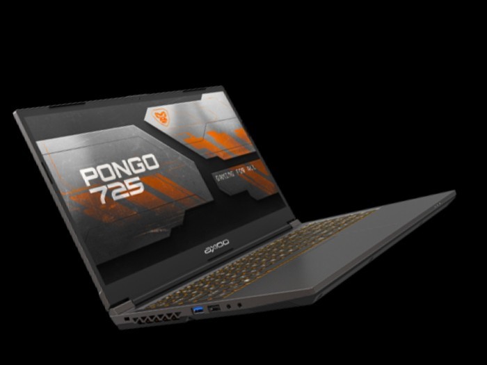 Laptop Gaming 10 Jutaan - Axioo Pongo 725