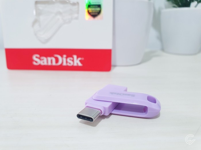 SanDisk Dual Drive Go 256GB (2)