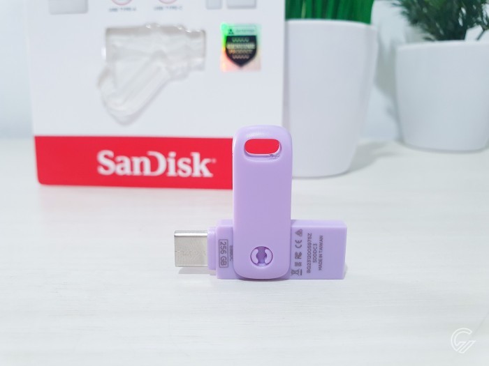 SanDisk Dual Drive Go 256GB (3)