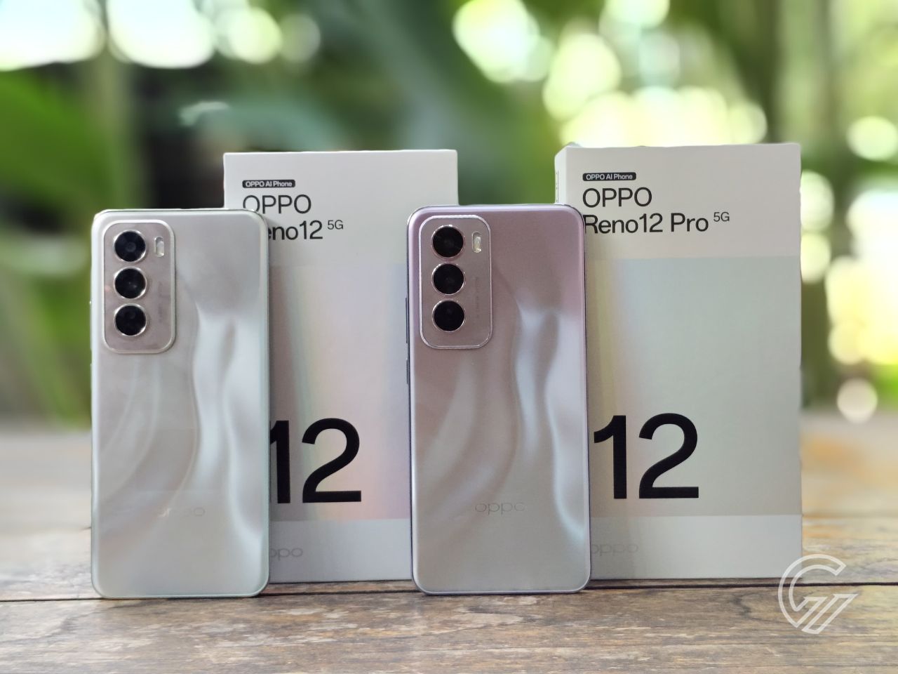 OPPO Reno12 5G vs Reno12 Pro 5G