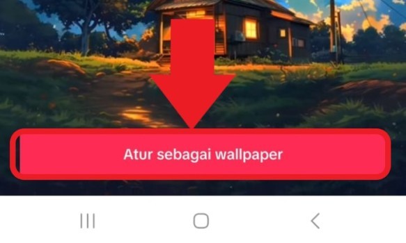 Cara Buat Wallpaper Dari Video Tiktok Yang Kamu Inginkan