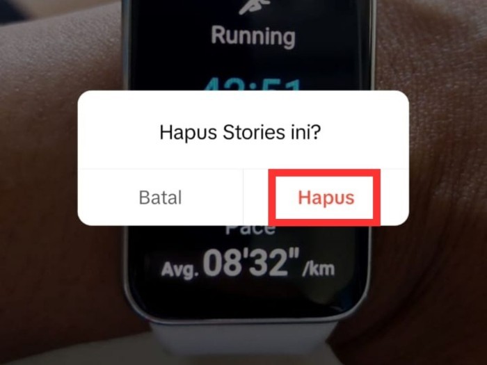  Hapus-Story-TikTok