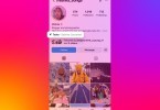 Instagrm-Music-on-Profile